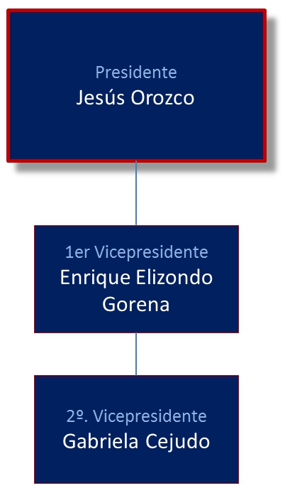 Consejo directivo vigente